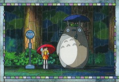 Bus stop in the rain