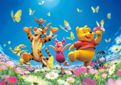 Chasing butterflies