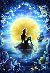 Wish upon the moon