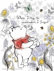 Pooh memories