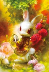 The white rabbit