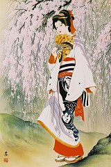 Cherry blossom