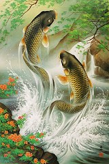 Carp ascending