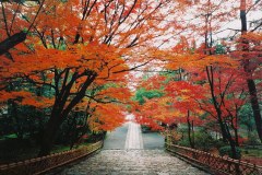 Ryôan-ji