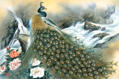 Auspicious peacock