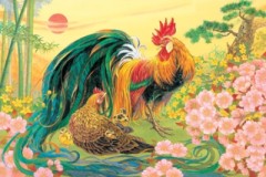Cock and hen at dawn