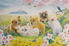 Playful puppies