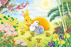 Lucky rabbits