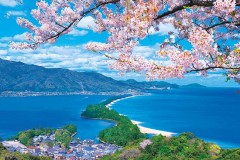 Ama-no-hashidate in spring