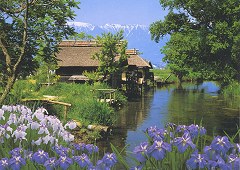 Azumino