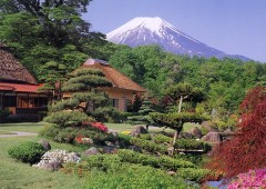 Fuji - Oshino