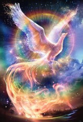 Phoenix - wings of good fortune