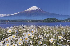 Mt. Fuji