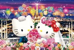 Wedding in Paris