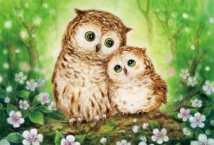 Happy owls
