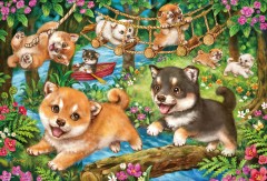 Shiba adventure