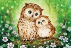 Happy owls