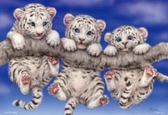 Tigers together!