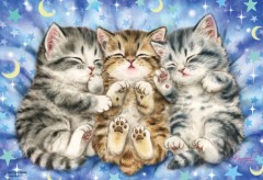Good night!