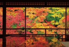 Kyoto temple view