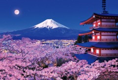 Fuji from Asama Shrine