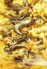Golden dragon
