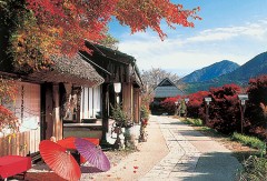 Kumano old road