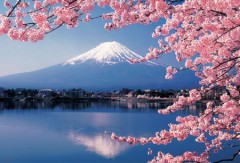 Mt. Fuji