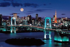 Tokyo twilight