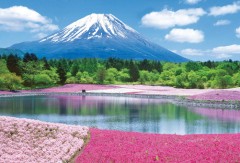Fuji with flowers