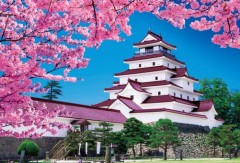 Aizuwakamatsu Castle