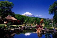 Fuji - Oshino