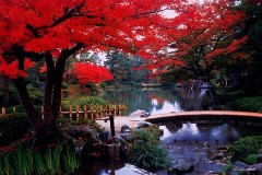 Autumn view of Kenrokuen
