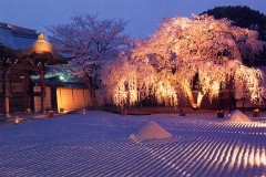 Kôdai-ji pebble garden