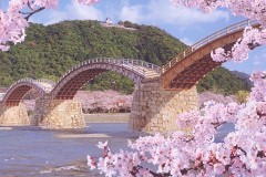 Kintaikyo