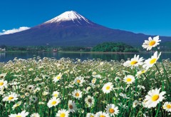 Mt. Fuji