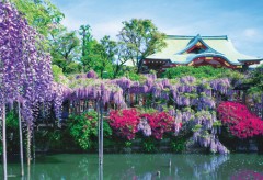 Kameido shrine