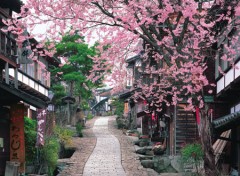 Magome post town in spring