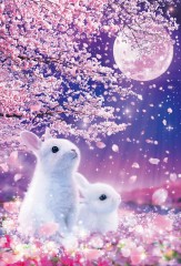 Rabbits awaiting love