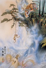 Between a tiger and a dragon