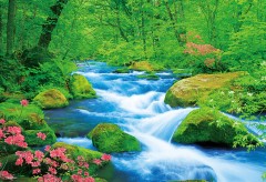 Oirase rapids