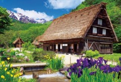 Irises in Shirakawa