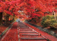 Steps to Bishamon Hall