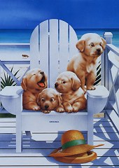 Vacation