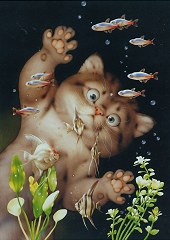 Aquarium