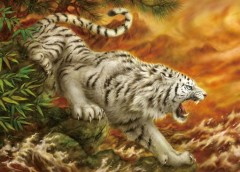 White tiger of the west