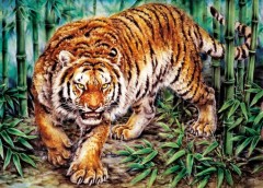 Tiger in bamboo grove