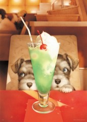 Cream soda for a puppy