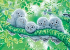 Forest celebration