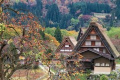 Autumn in Shirakawa-go